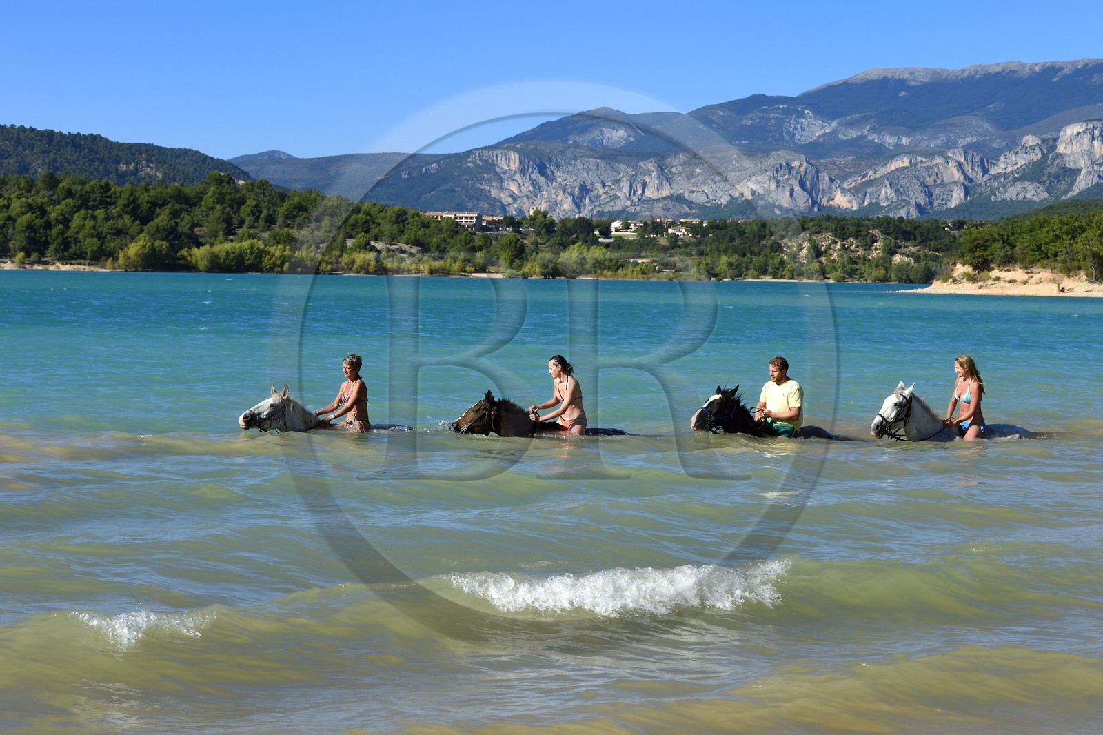 France, Var (83), Parc Naturel Régional du Verdon, lac de Sainte Croix, randonnée équestre avec Verdon Equitation, baignade des chevaux interdite depuis peu (octobre 2014)