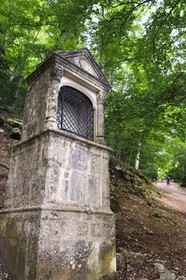 France, Var, Plan d'Aups Sainte Baume, Sainte-Baume Regional Nature Park, Massif de la Sainte-Baume relic forest protected for several centuries and classified as a national biological reserve, oratory on the Chemin des Rois (kings path)