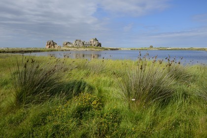 France, Cotes-d'Armor, Cote d'Ajoncs, Plougrescant, Pors Scaff cove, the little house of Castel Meur, any commercial representation of this house is forbidden