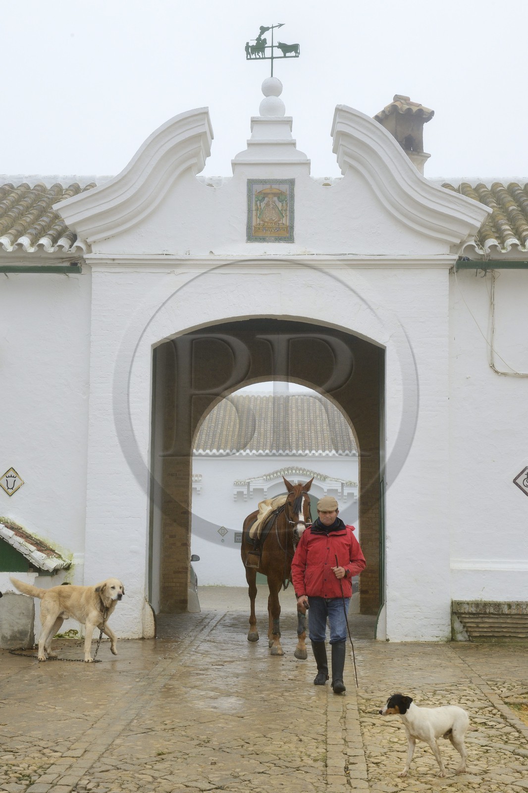 Espagne, Andalousie, province de Séville, Utrera, Finca El Pinganillo, le haras de la propriété