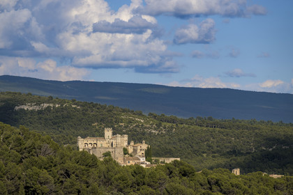 France, Vaucluse, Dentelles de Montmirail mountains, Le Barroux, the Barroux castle emerging from the forest in the background
