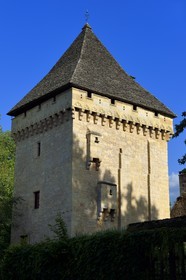 France, Dordogne, Perigord Noir, Vezere Valley, Saint Leon sur Vezere, labelled Les Plus Beaux Villages de France (The Most Beautiful Villages of France), the keep of the Manoir de la Salle Mansion