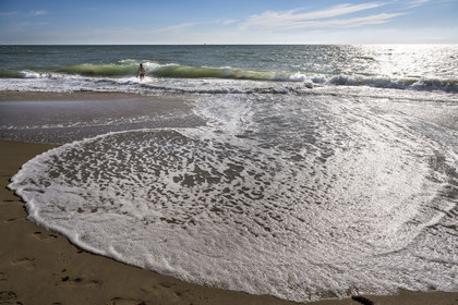 France, Vendée (85), Talmont-Saint-Hilaire, la Pointe du Payré, plage du Veillon
