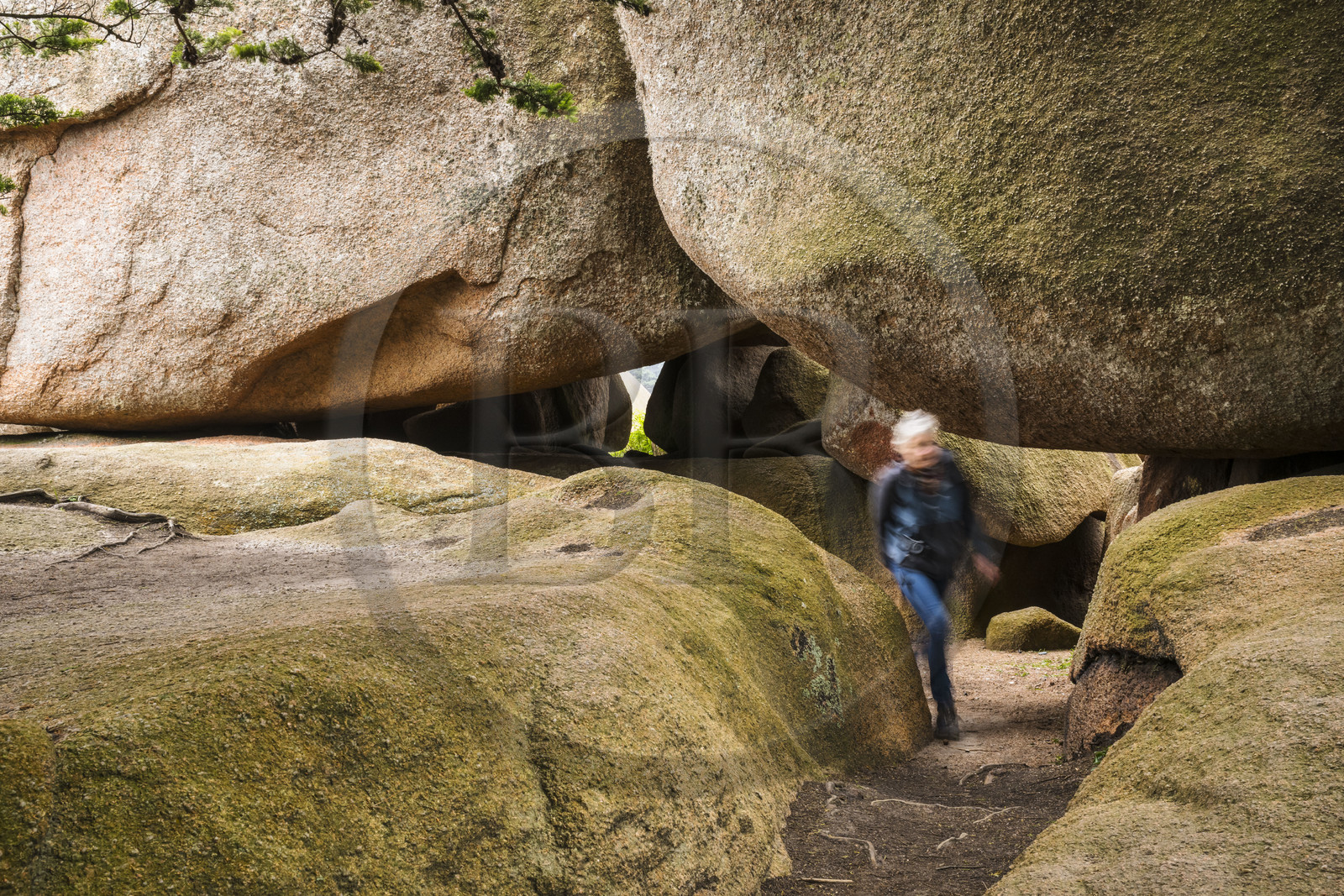 France, Côtes-d'Armor (22), Côte de Granit Rose, Trégastel, Ile Renote, randonneur dans le chaos granitique
