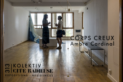 France, Bouches du Rhone, Marseille, architectural work of Le Corbusier, listed as World heritage by UNESCO, the Cité Radieuse by the architect Le Corbusier, Ambre Cardinal exhibition at Galerie Kolektiv 313 in the ambulatory between the 3rd and 4th floors