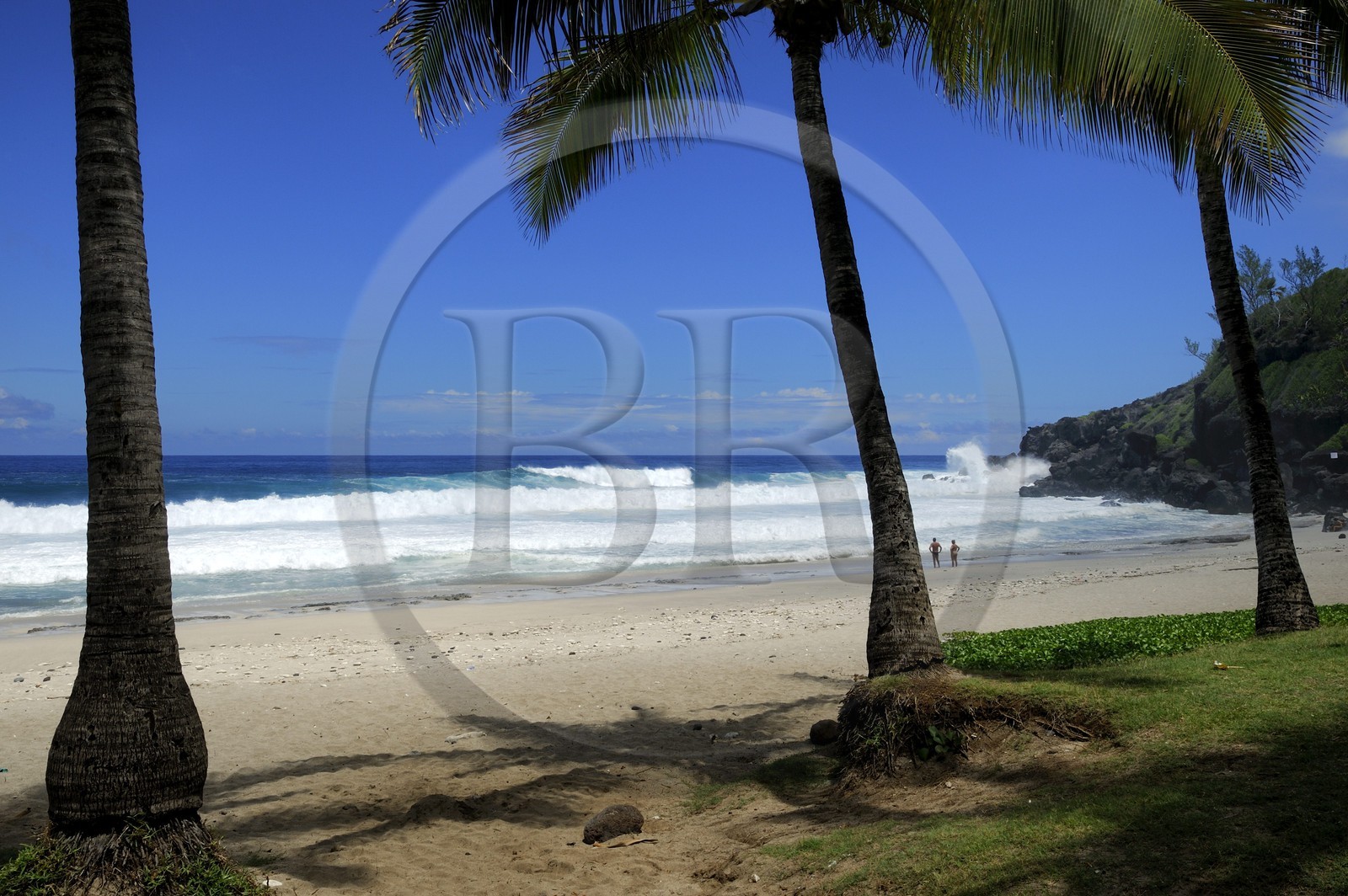 France, île de la Réunion, la côte sud, plage de Grand-Anse