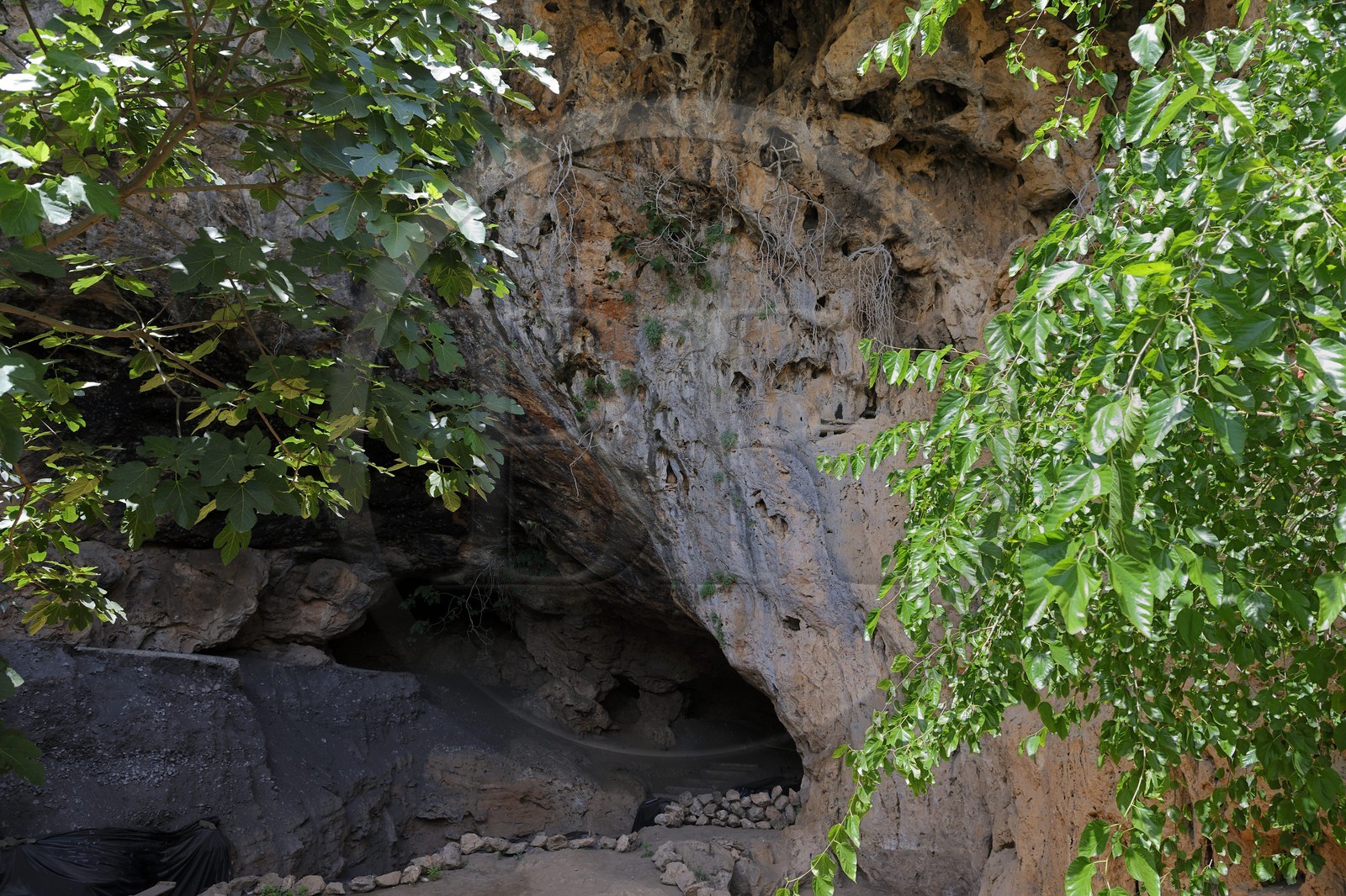 Maroc, région de l'Oriental, les montagnes rifaines de Béni-Snassen (ou encore Ayt Iznassen) au Nord-Est du pays, la grotte aux pigeons