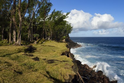 France, Ile de la Reunion, Côte Sud, Sainte-Philippe, la côte sud sauvage au Baril