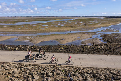 France, Vendée (85), île de Noirmoutier, Barbatre, cyclistes sur le passage du Gois, chaussée submersible qui relie l'île au continent à marrée basse (vue aérienne)