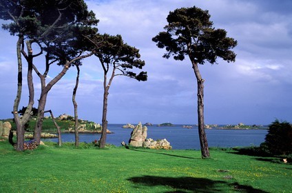 France, Côtes d'Armor, Brehat island