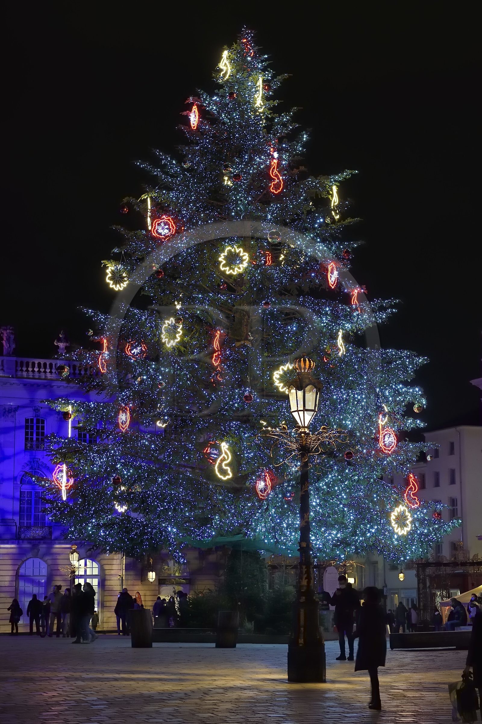 France, Meurthe-et-Moselle (54), Nancy, place Stanislas (ancienne Place Royale) lors de la fête de la Saint-Nicolas, classée Patrimoine Mondial de l'UNESCO, le grand sapin  de Noël décoré