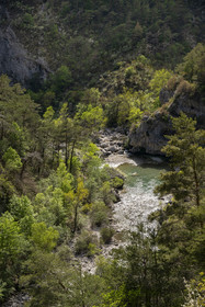 France, Alpes de Haute Provence, Parc Naturel Régional du Verdon, Rougon, Grand Canyon of Verdon in the corridor Samson and the beginning of the trail sentier Blanc-Martel on the GR4