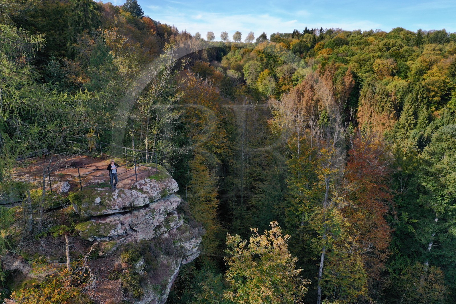 France, Bas-Rhin (67), Parc Naturel r France, Bas-Rhin (67), Parc Naturel r