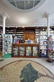 France, Meurthe-et-Moselle, Nancy, Ginkgo pharmacy in Art Nouveau style, interior decoration by Louis Majorelle