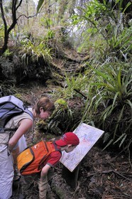 France, Reunion island (French overseas department), Belouve forest
