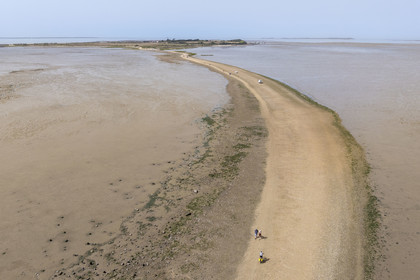 France, Charente-Maritime (17), Port-des-Barques, Port-des-Barques, le tombolo de la Passe aux Boeufs qui relie le continent à l'Ile Madame (vue aérienne)