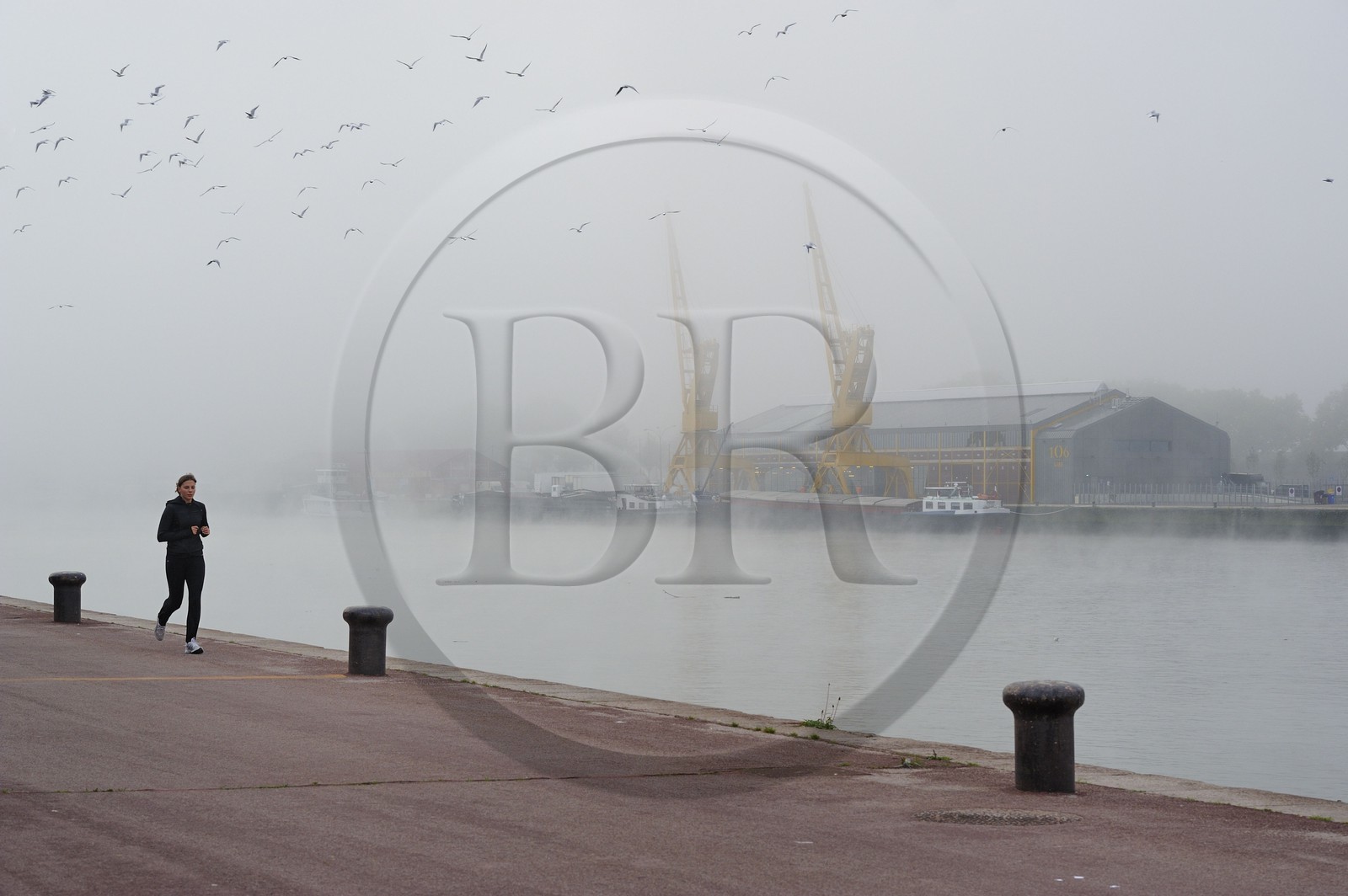 France, Seine-Maritime (76), Rouen, les anciens docks sur les quais de Seine, les grues par temps de brouillard