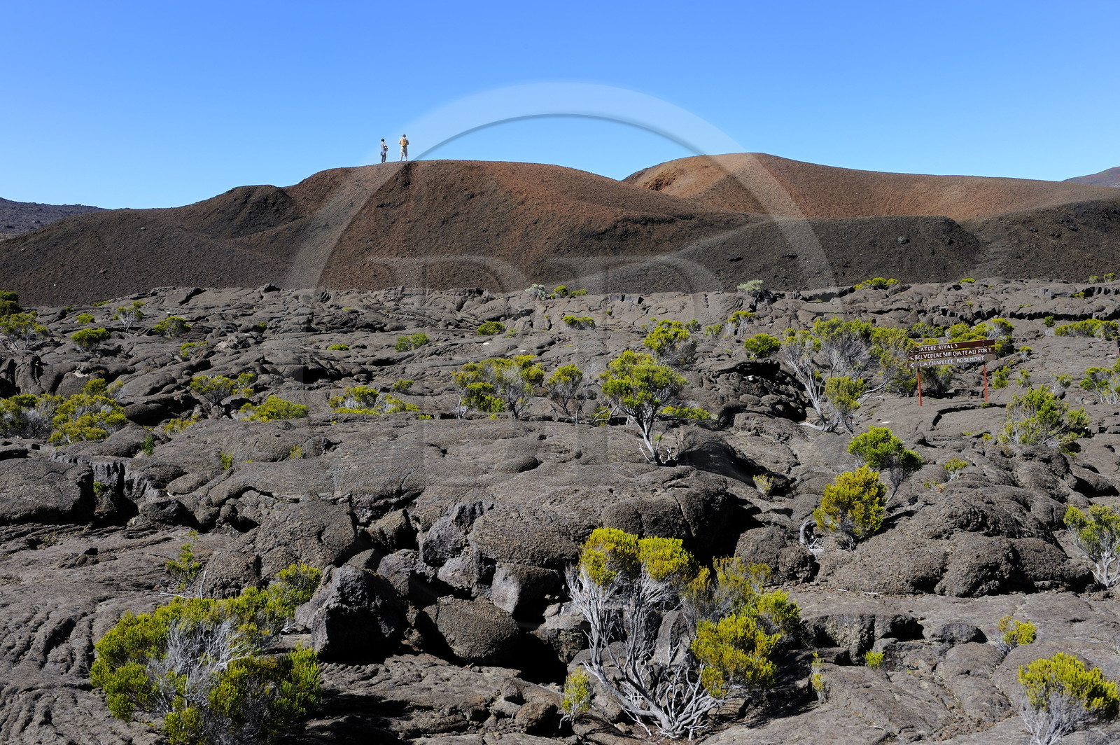 France, île de la Réunion, volcan du Piton de la Fournaise, classé Patrimoine Mondial de l'UNESCO, le cratère Formica Léo et les coulées de lave à l'intérieur de l'Enclos France, île de la Réunion, volcan du Piton de la Fournaise, classé Patrimoine Mondial de l'UNESCO, le cratère Formica Léo et les coulées de lave à l'intérieur de l'Enclos