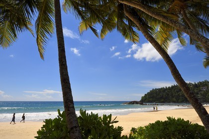 Sri Lanka, Province du Sud, Weligama, plage de Mirissa