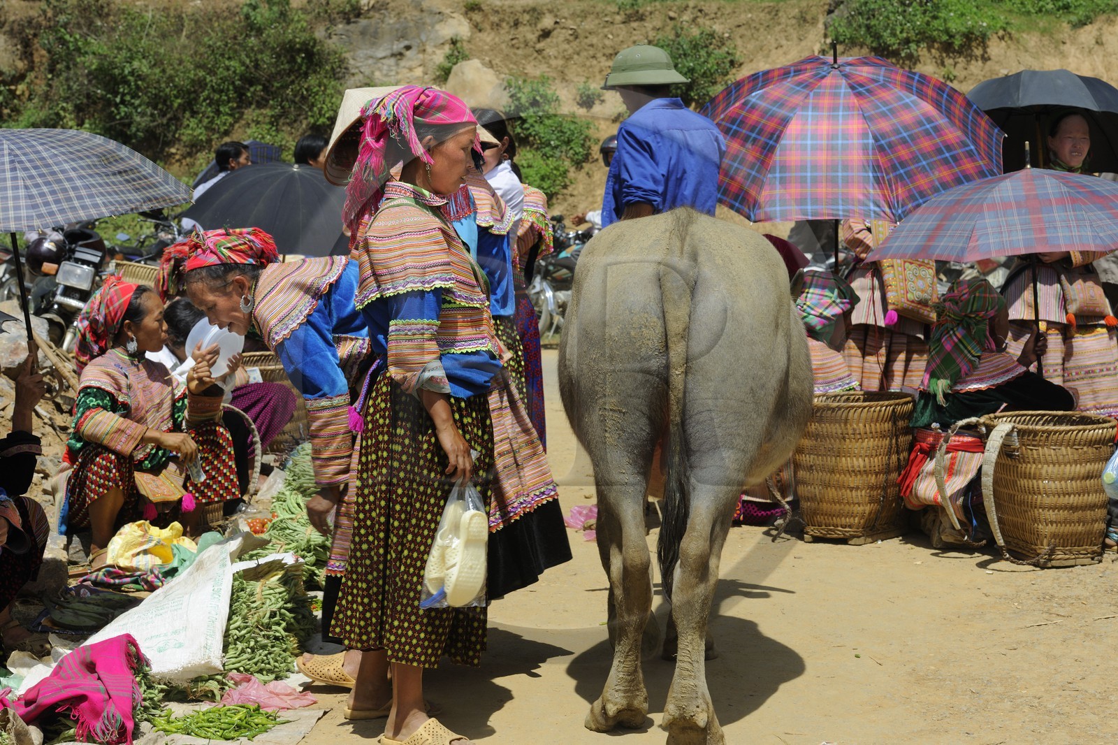 Vietnam, province de Lao Cai, région de Bac Ha, marché de Can Cau, femmes de la minorité Hmong Fleur