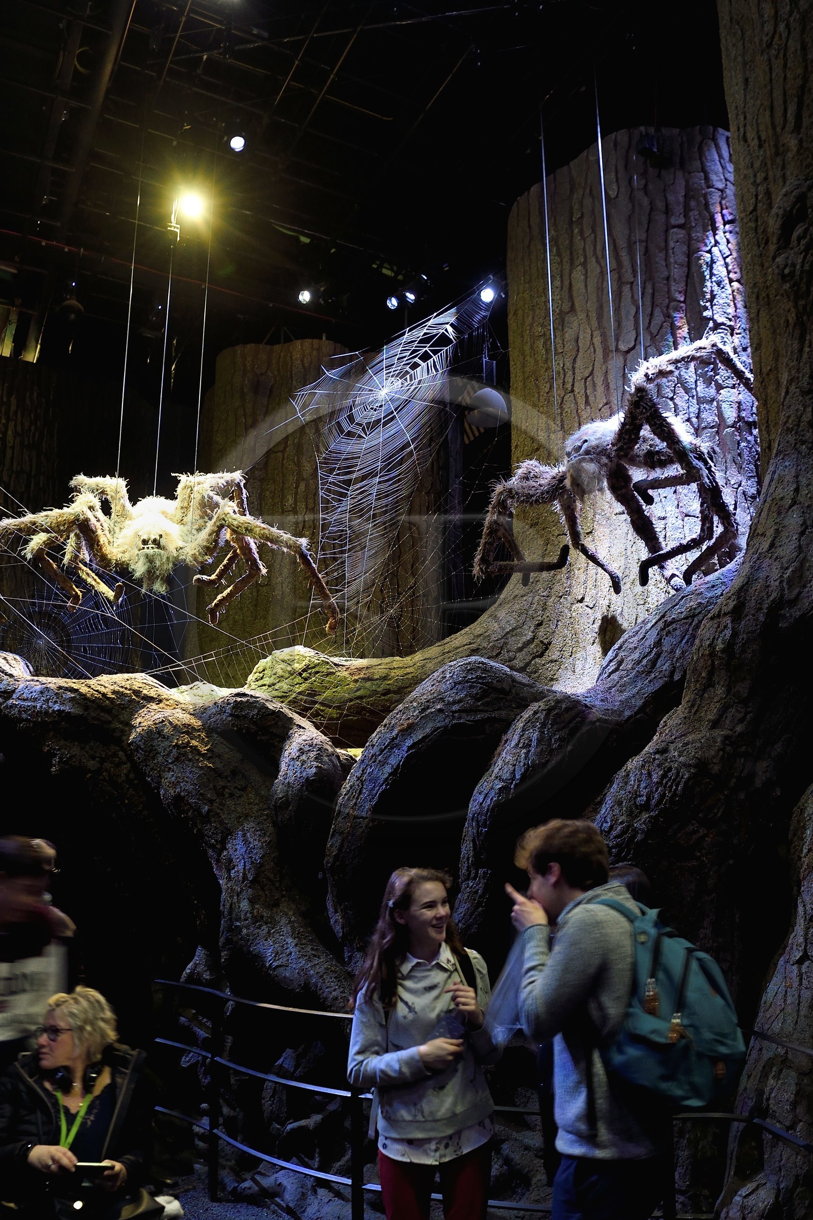 Royaume-Uni, Hertfordshire, Leavesden, Leavesden Film Studios, Harry Potter Studio Tour London, les coulisses du tournage des 8 films de Harry Potter, les araignées géantes Aragog dans la mythique Forêt Interdite