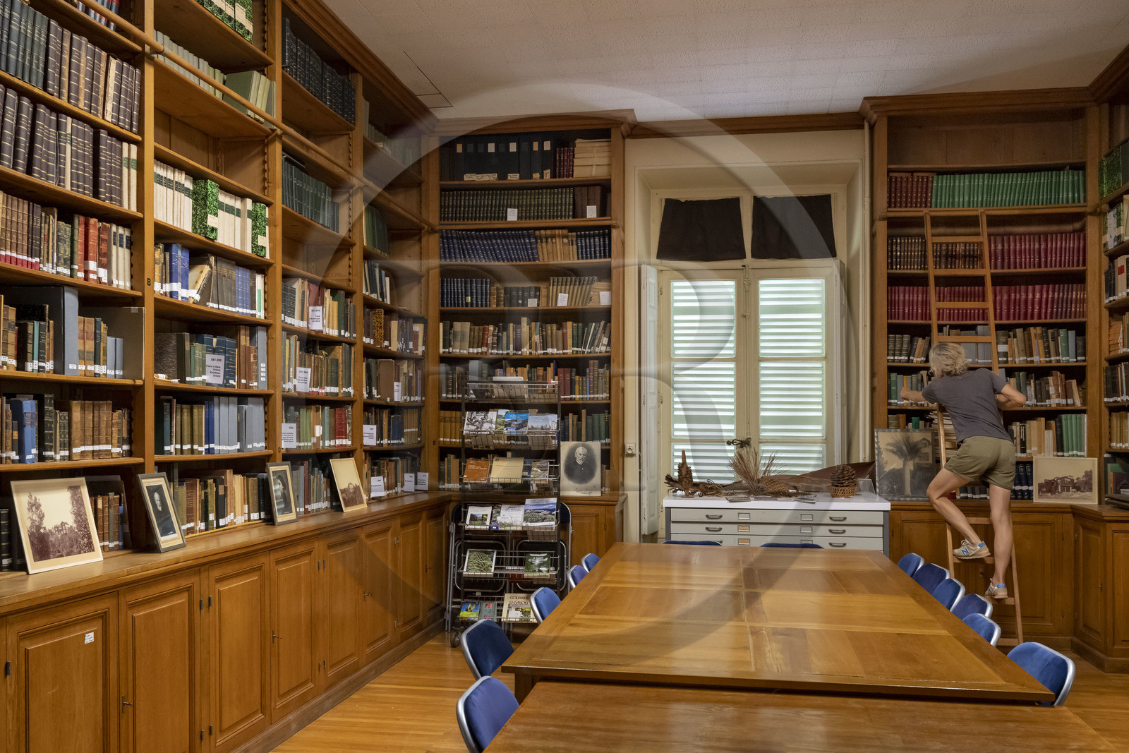 France, Alpes-Maritimes (06), Antibes, Le Jardin Botanique de la Villa Thuret (rattachée à l'INRAE), labellisé Jardin Remarquable et Arbre Remarquable, la bibliothèque historique