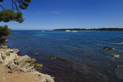 France, Alpes-Maritimes, Lerins Islands, Sainte-Marguerite island, the south coast facing the Saint-Honorat island