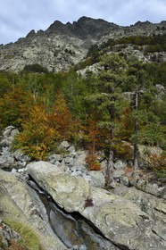 France, Haute Corse, Vivario, hiking on the GR 20, between Onda refuge and Vizzavona, Vizzavona forest, Englishmen cascades, waterfalls group in the Agnone valley under the Monte d'Oro