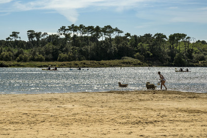 France, Vendée (85), Talmont-Saint-Hilaire, la Pointe du Payré, l'embouchure du Payré à marée haute
