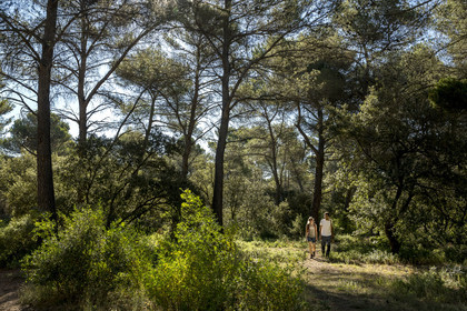 France, Bouches-du-Rhône (13), Aix en Provence, randonneurs sur le plateau de Bibemus