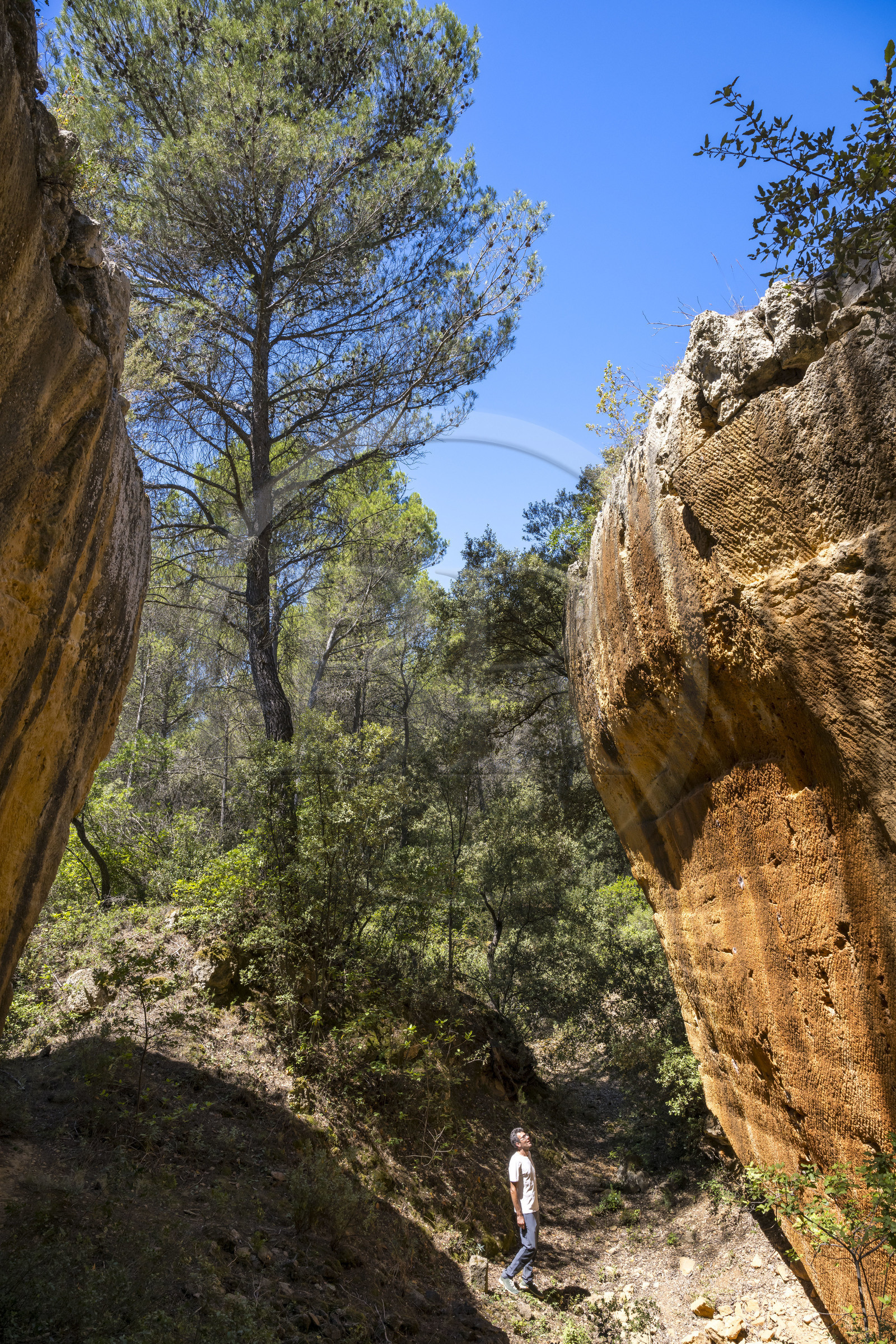 France, Bouches-du-Rhône (13), Aix en Provence, plateau de Bibemus, les carrières de Bibemus qui ont inspirées de nombreuses toiles de Cézanne