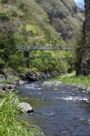 France, Ile de la Reunion, Parc National de la Réunion classé Patrimoine Mondial de l'UNESCO, Entre-Deux, sentier de randonnée qui passe sur le pont au dessus de la rivière Bras de la Plaine
