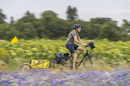 France, Maine-et-Loire, Loire valley listed as World Heritage by UNESCO, Saumur towards Saint-Hilaire, bicycle journey with a trailer carrying camping equipment