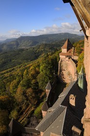 France, Bas-Rhin (67), le château du Haut-Koenigsbourg, le Grand Bastion surplombant la forêt alentours