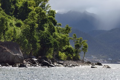 Caraïbes, Ile de la Dominique, Portsmouth, Parc national des Cabrits, la pointe de Fort Shirley dans la baie de Prince Rupert
