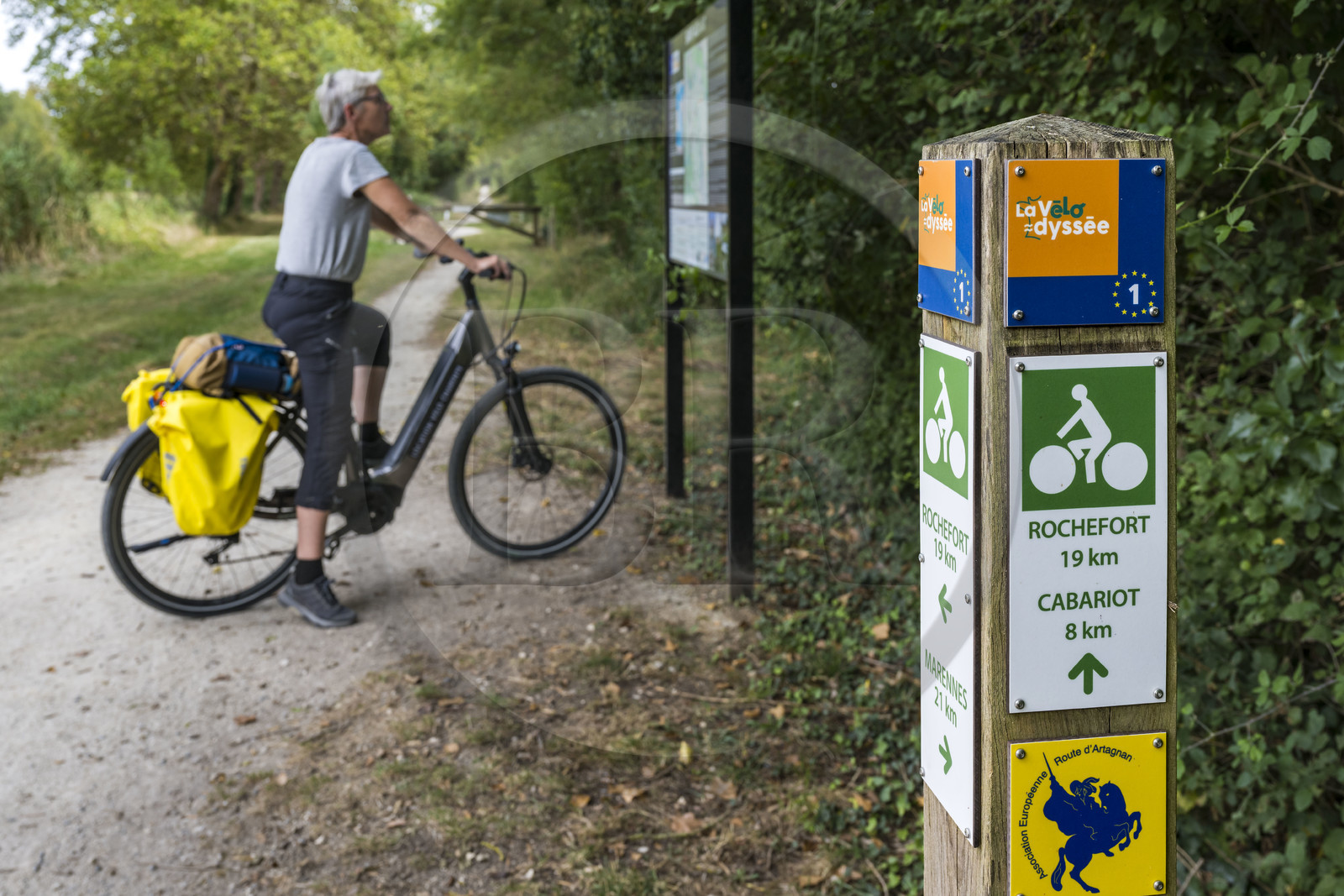 France, Charente-Maritime (17), Echillais, cycliste sur la véloroute vélodyssée