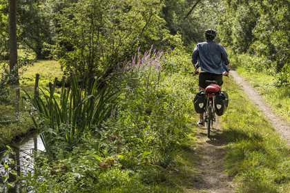 France, Deux-Sèvres, le Marais Poitevin, Green Venice, Le Vanneau-Irleau, bicycle journey along the canals