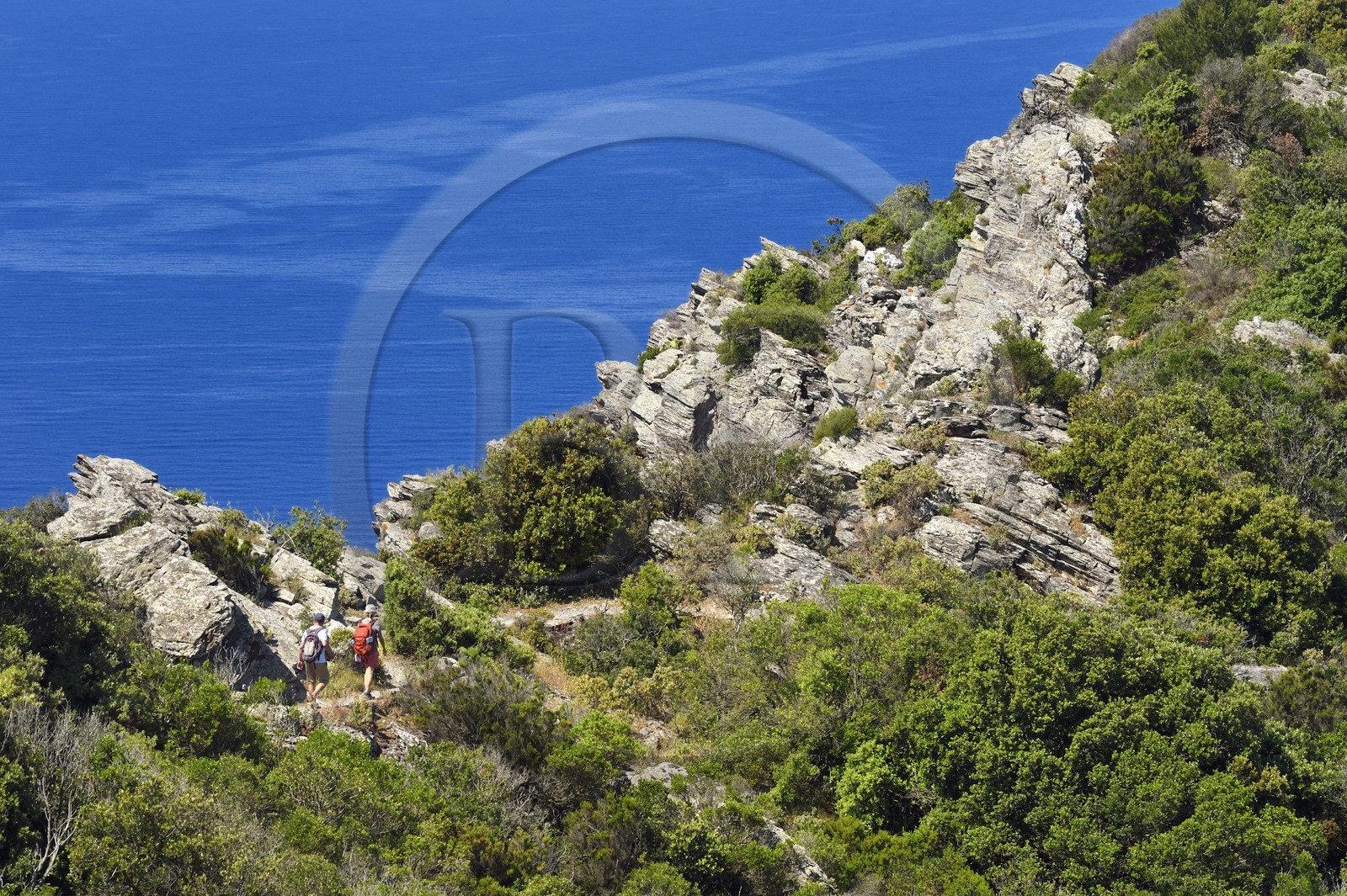 France, Var (83), Six-Fours-les-Plages, randonnée dans le massif du Cap Sicié, randonneurs sur le sentier des cretes de Roumagnan