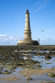 France, Gironde, Verdon sur Mer, rocky plateau of Cordouan at low tide, lighthouse of Cordouan, listed as World Heritage by UNESCO