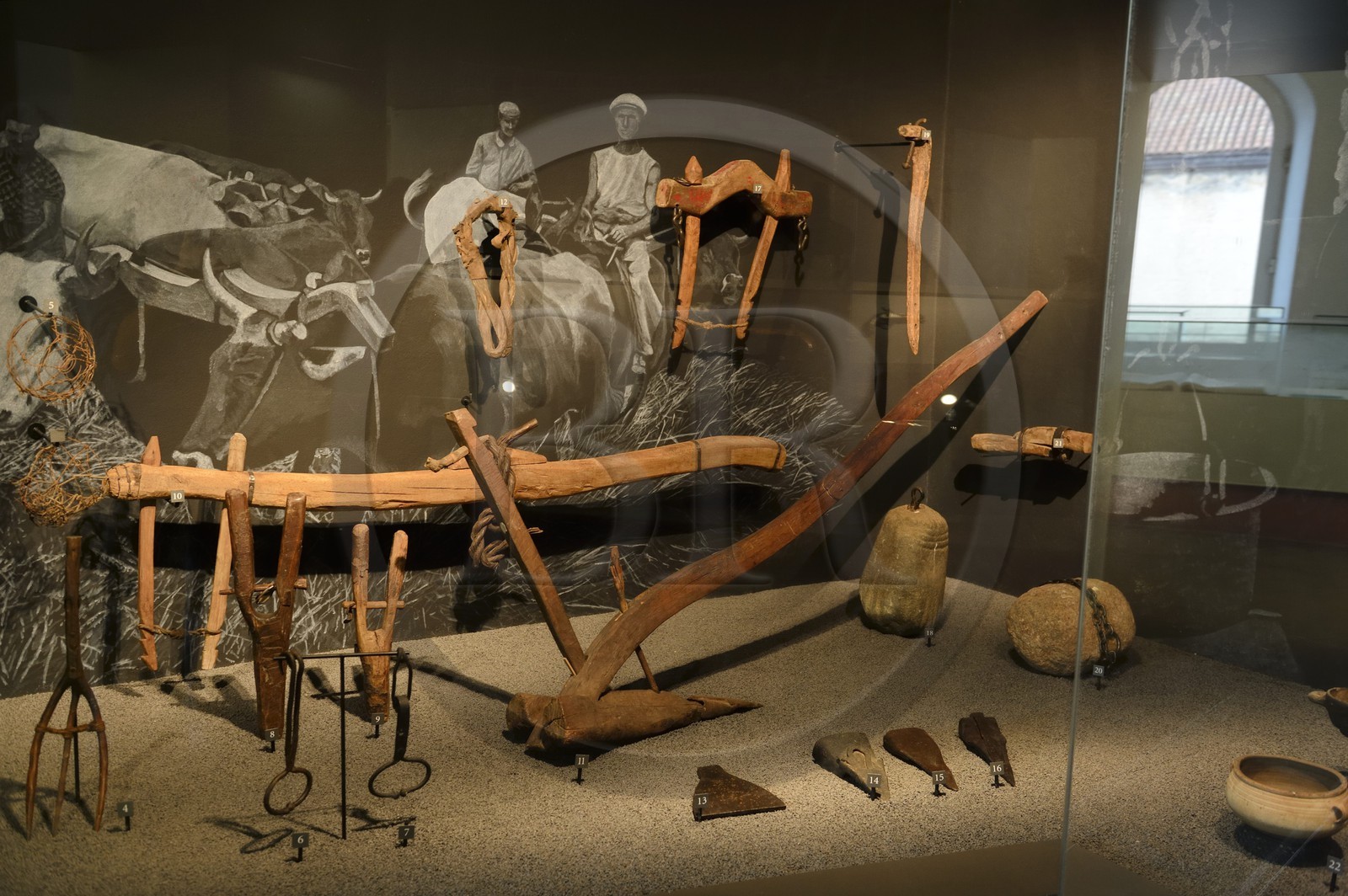 France, Haute-Corse (2B), Corte, Musée de Corse, salle de l'invention du patrimoine, représentation des objets agraires
