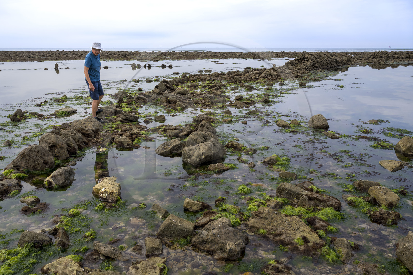 France, Vendée (85), Talmont-Saint-Hilaire, murs de la pêcherie en ruine sur l'estran du Veillon, Jack Guichard