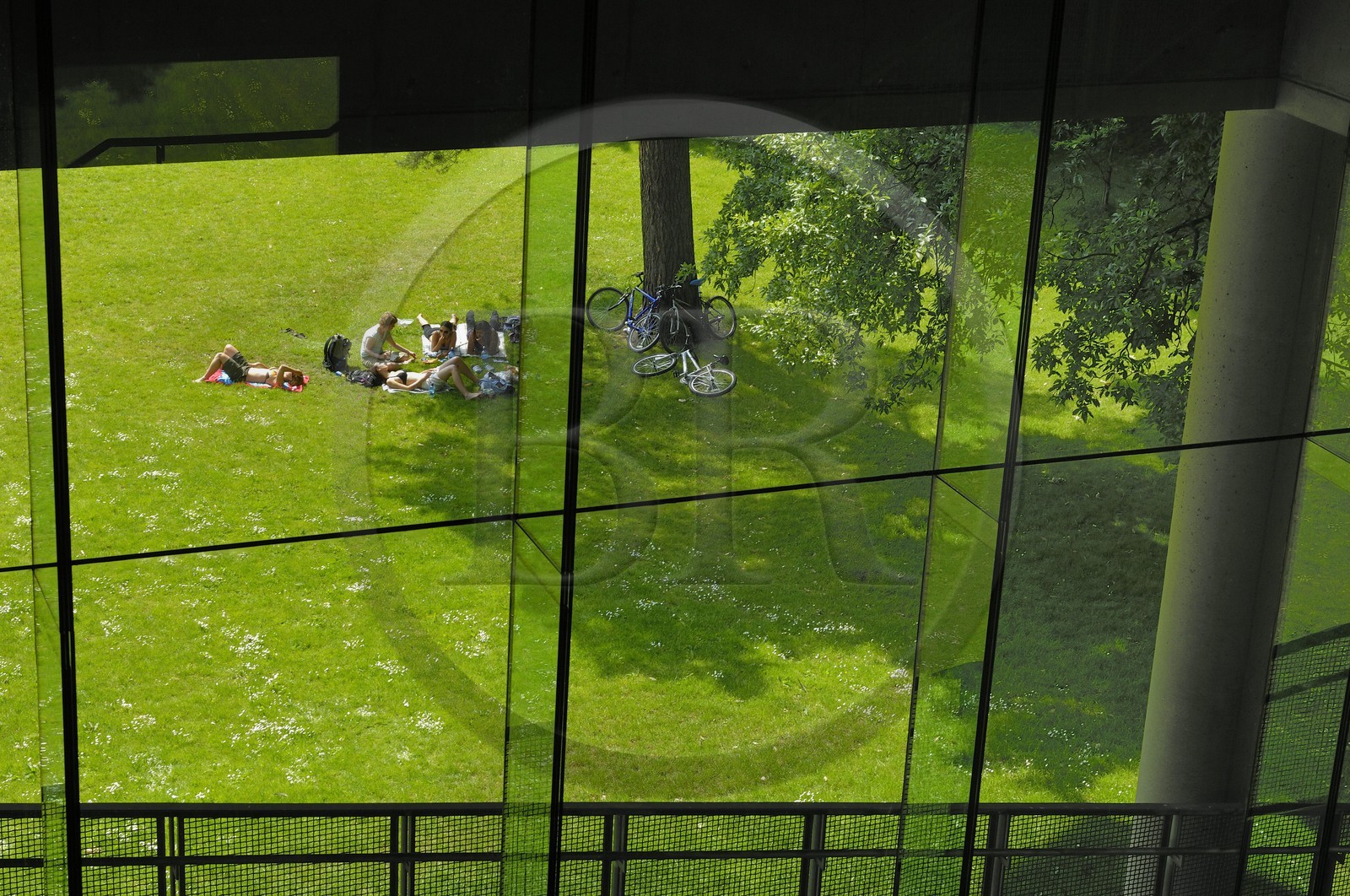 Irlande, Cork, University College Cork, la Glucksman Gallery (art contemporain) par les architectes O'Donnell & Tuomey