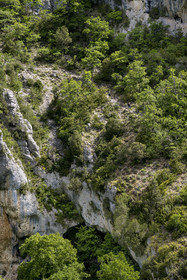 France, Vaucluse, Mont Ventoux Regional Natural Park, Monieux, Gorges de La Nesque, Hikers descending a steep trail to the canyon floor