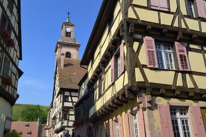 France, Haut-Rhin (68), Riquewihr, labellisé Les Plus Beaux Villages de France, maisons à pans de bois et ancienne église Notre-Dame