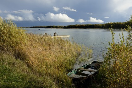 France, Meuse, Lorraine Regional Park, Cotes de Meuse, Heudicourt-sous-les-Cotes, fishermen on Lake Madine