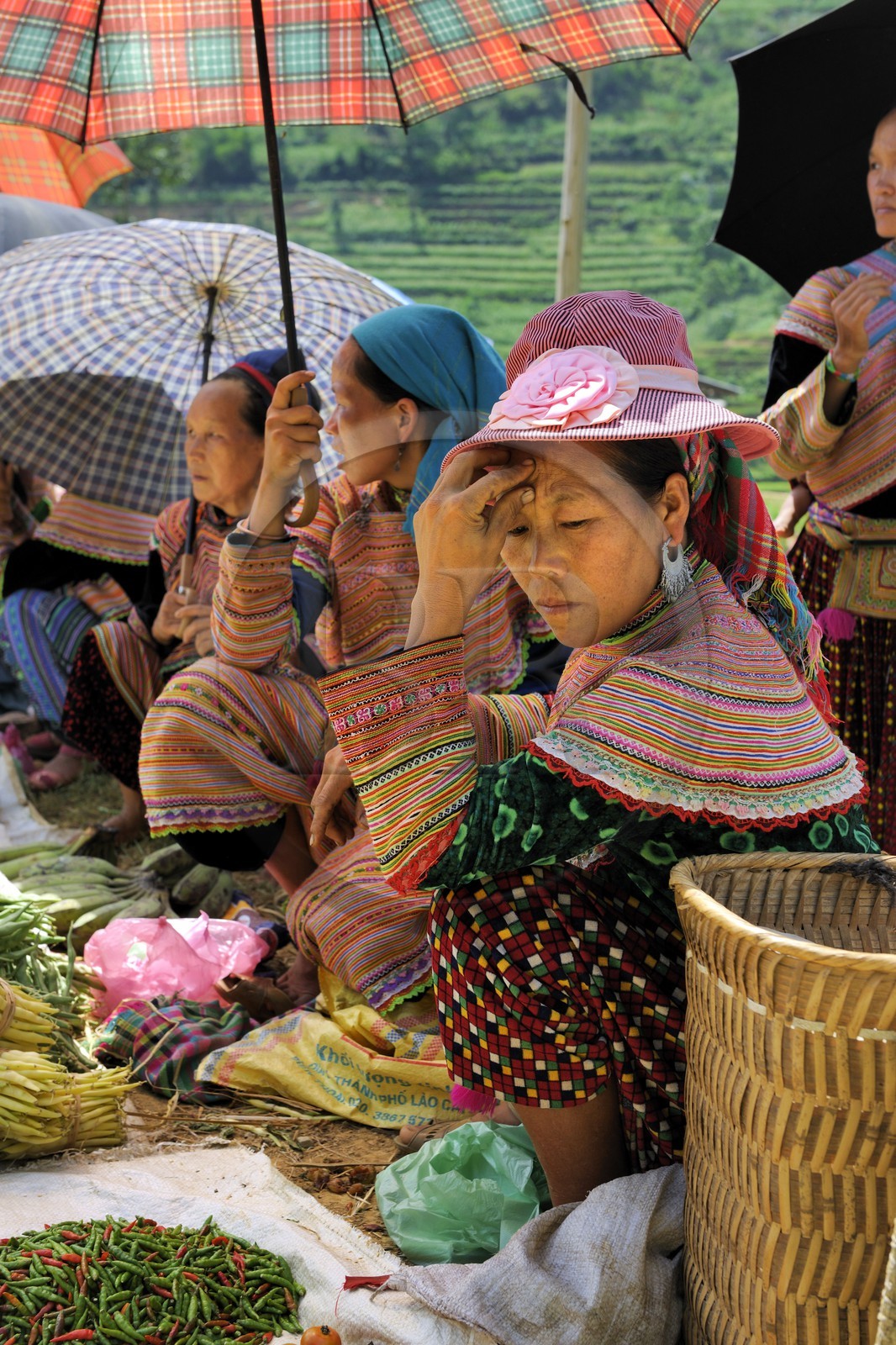 Vietnam, province de Lao Cai, région de Bac Ha, marché de Can Cau, femmes de la minorité Hmong Fleur