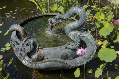 France, Alpes-Maritimes (06), Menton, quartier de Garavan, le jardin de Maria Serena, le bassin de la Fontaine au Dragon (ancienne fontaine japonaise qui a appartenue à un shogun)