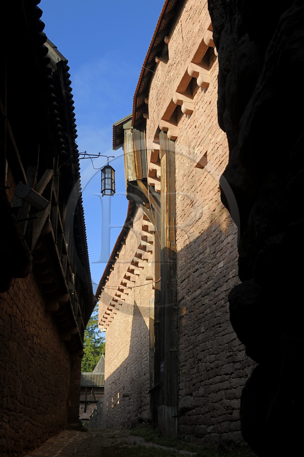 France, Bas Rhin, Orschwiller, Alsace Wine Road, Haut Koenigsbourg Castle