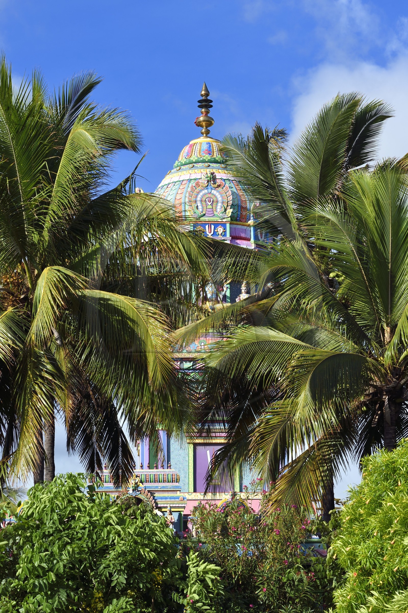 France, Ile de la Reunion, ville de Saint-Pierre, La Ravine Blanche, temple Tamoul Narassingua Perournal