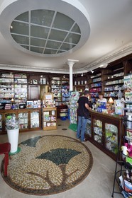 France, Meurthe-et-Moselle, Nancy, Ginkgo pharmacy in Art Nouveau style, interior decoration by Louis Majorelle